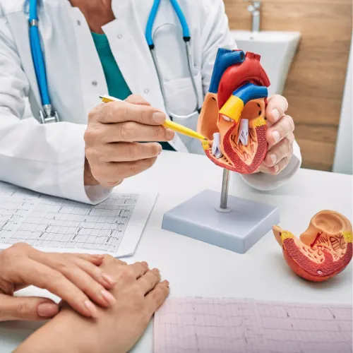 Heart Risk Assessment