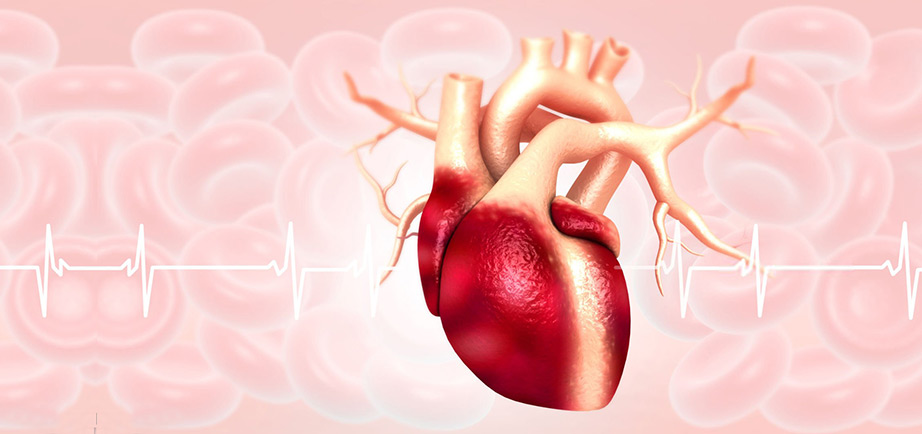 Preventive Cardiologist